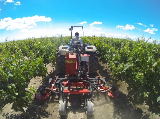 Maquinaria específica para el cultivo del viñedo en espaldera